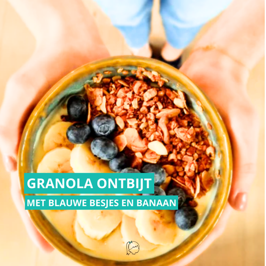 Granola ontbijt met banaan en blauwe bessen