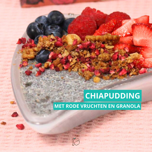 Chiapudding met rode vruchten en granola